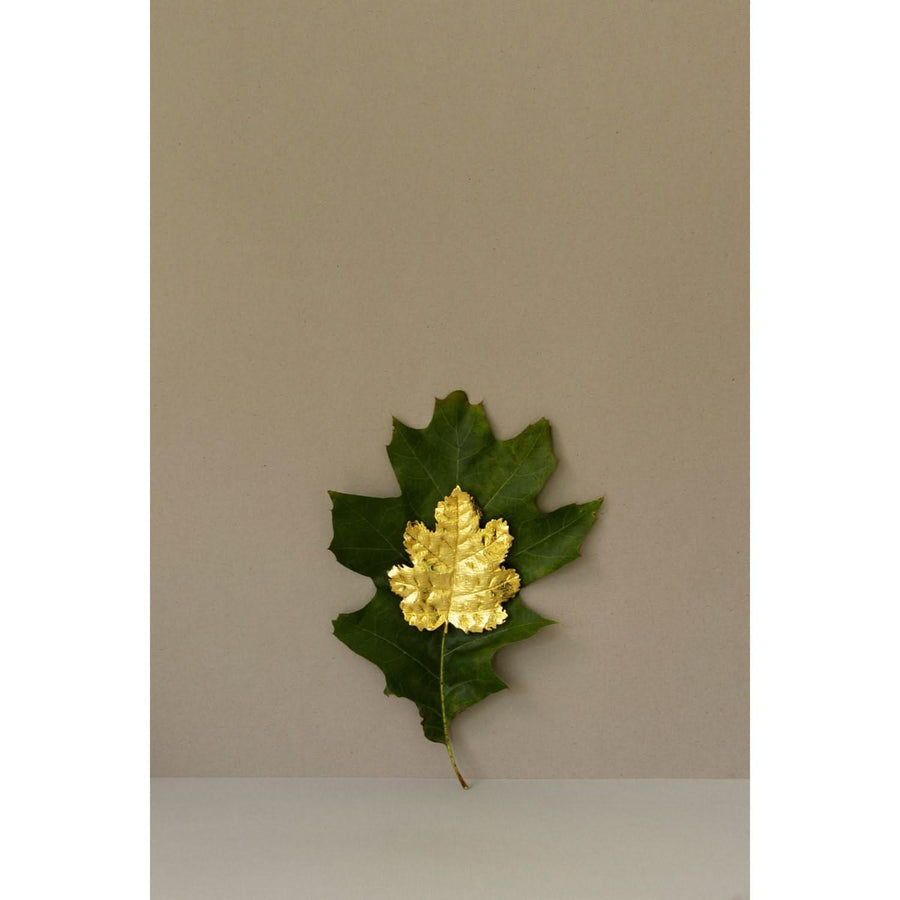 Botanicals Amber Breeze Large Brooch - Tohum Design