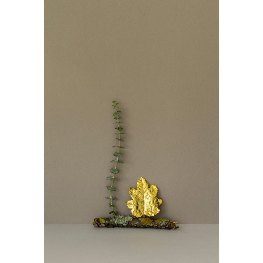 Botanicals Amber Breeze Large Brooch - Tohum Design