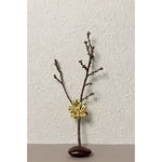 Botanicals First Temptation Small Brooch - Tohum Design