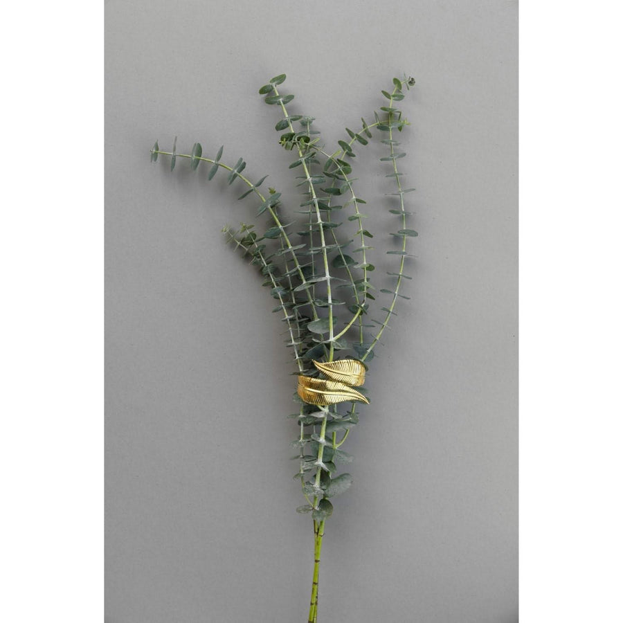 Botanicals Gentle Whisper Bracelet - Tohum Design