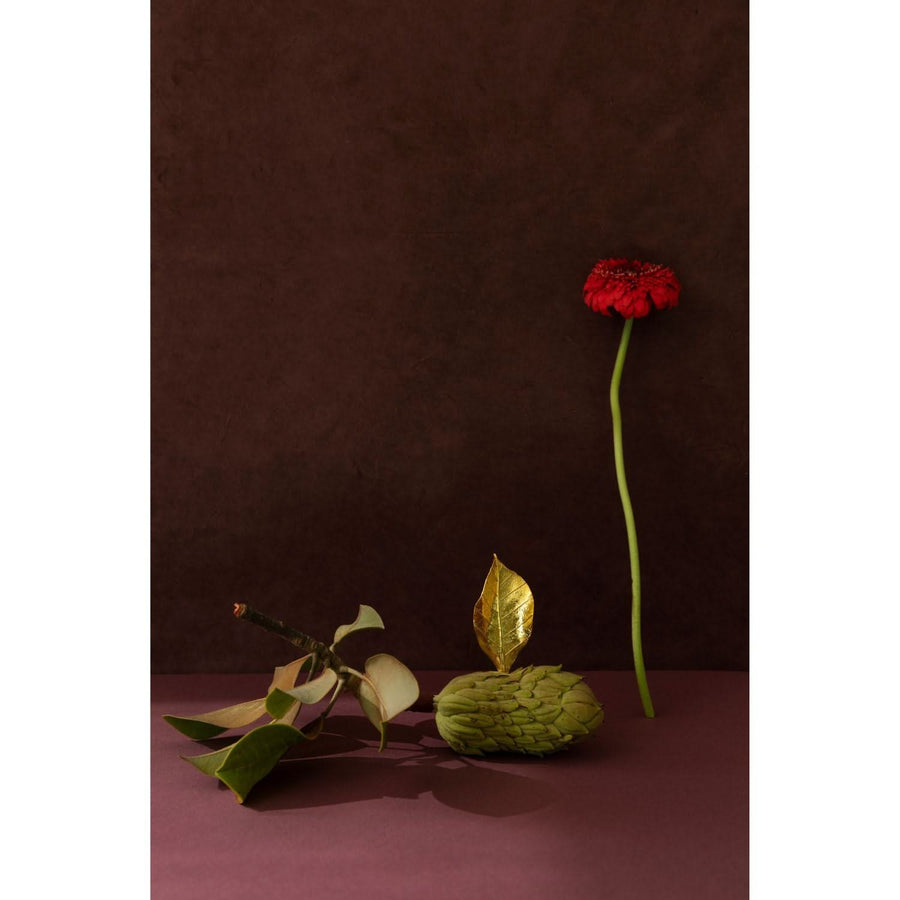 Botanicals Petals of Grace Necklace - Tohum Design