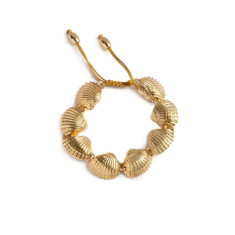Concha Beach Shell Bracelet