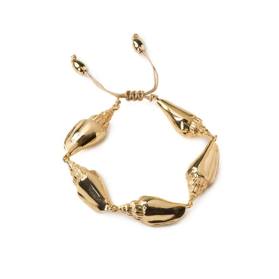 Concha Colubra Bracelet - Tohum Design