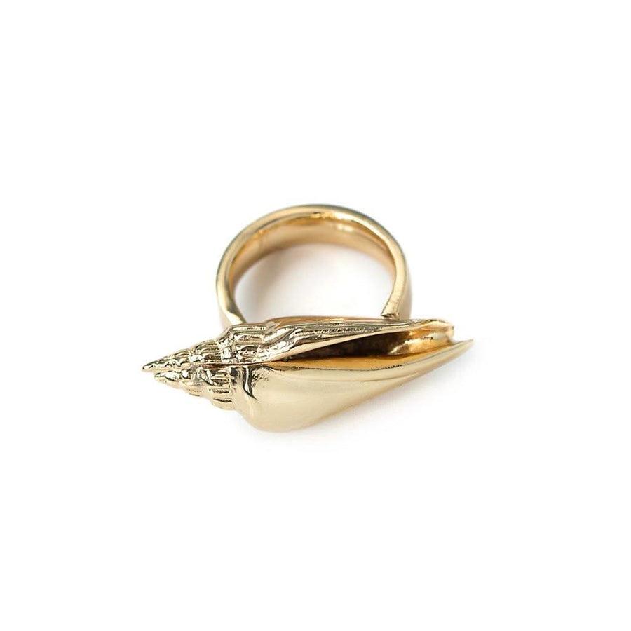 Concha Colubra Ring - Tohum Design
