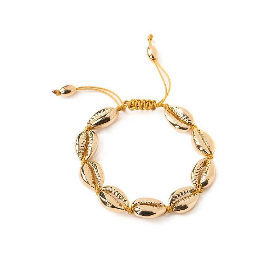 Concha Medium Puka Bracelet - Tohum Design