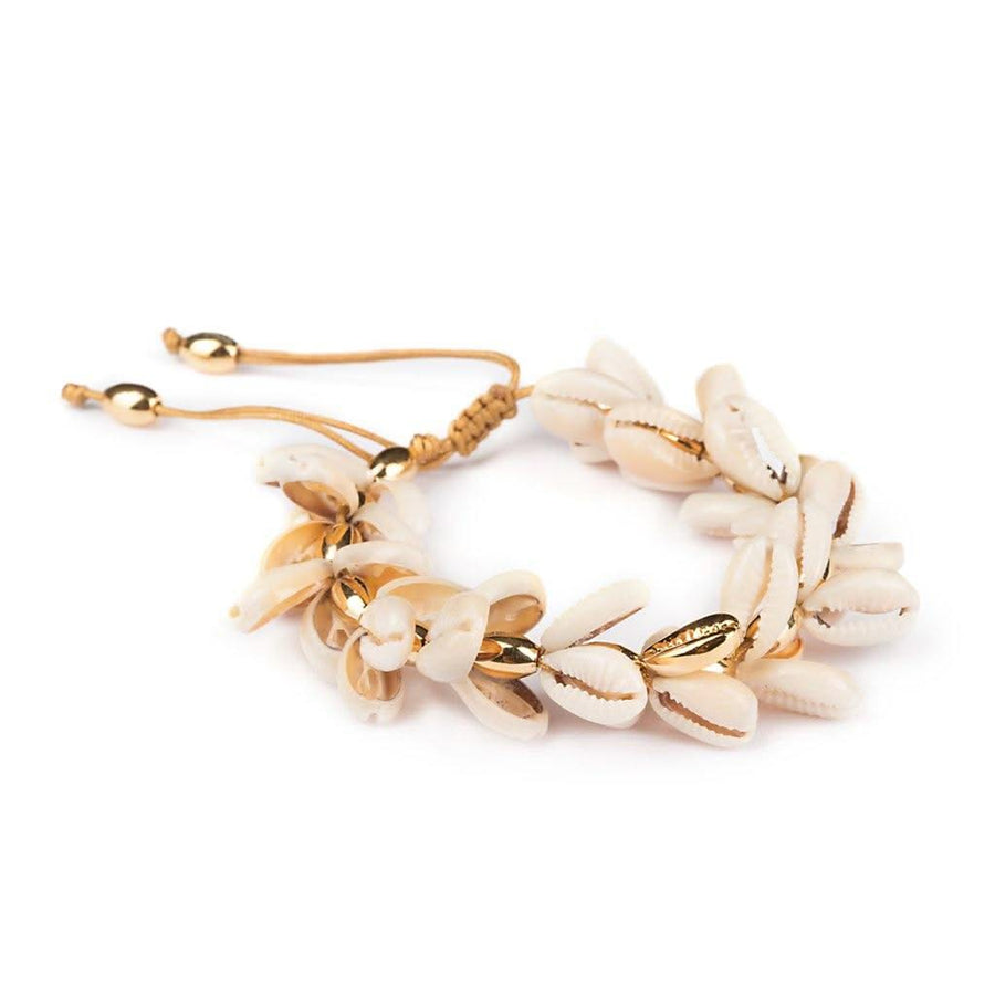Concha Multi Natural Puka Cowrie Bracelet - Tohum Design
